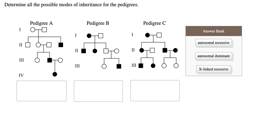 Solved Determine All The Possible Modes Of Inheritance For The