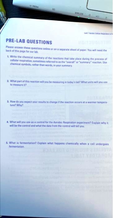 My Lab Questions SOLVED: PRE-LAB QUESTIONS Please answer the questions on a separate ...