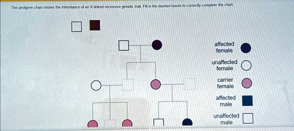 SOLVED: The pedigree chart shows the inheritance of an X-linked ...