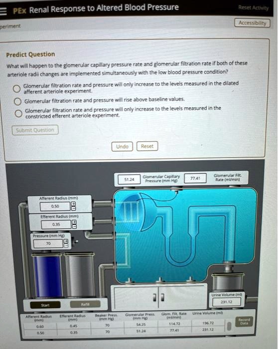 solved-pex-renal-response-to-altered-blood-pressure-reset-activit-accessibility-periment