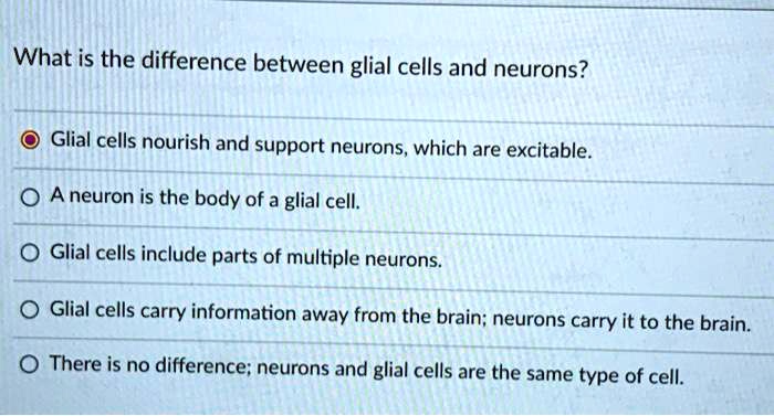 what is the difference between glial cells and neurons glial cells ...