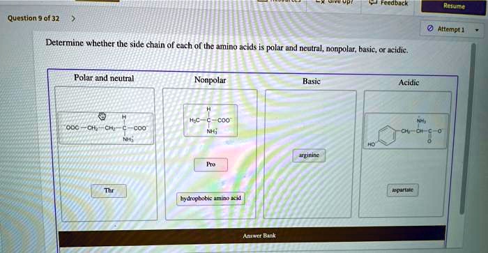 Question 9 of 32 Determine whether the side chain of each of the amino ...