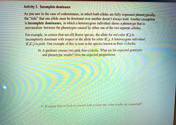 Activity 3. Incomplete dominance

As you saw in the case of codominance, in which both alleles are fully expressed phenotypically, the "rule" that one allele must be dominant over another doesn't always hold. Another exception is incomplete dominance, in which a heterozygous individual shows a phenotype that is intermediate between the phenotypes caused by either one of the two separate alleles.

For example, in certain (but not all) flower species, the allele for red color (C?) is incompletely dominant with respect to the allele for white (C?). A heterozygous individual (C?C?) is pink. One example of this is seen in the species known as four-o'clocks.

16. A gardener crosses two pink four-o'clocks. What are his expected genotypic and phenotypic results? Give the expected proportions.

17. If a pink four-o'clock is crossed with a white one, what results are expected?