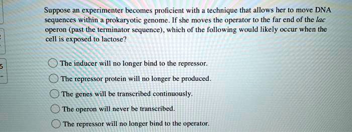 Suppose an experimenter becomes proficient with a technique that allows her to move DNA sequences within a prokaryotic genome. If she moves the operator to the far end of the lac operon (past the terminator sequence), which of the following would likely occur when the cell is exposed to lactose?

The inducer will no longer bind to the repressor.
The repressor protein will no longer be produced.
The genes will be transcribed continuously.
The operon will never be transcribed.
The repressor will no longer bind to the operator.
