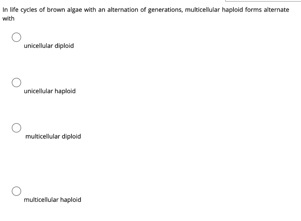 In life cycles of brown algae with an alternation of generations, multicellular haploid forms alternate with
unicellular diploid
unicellular haploid
multicellular diploid
multicellular haploid