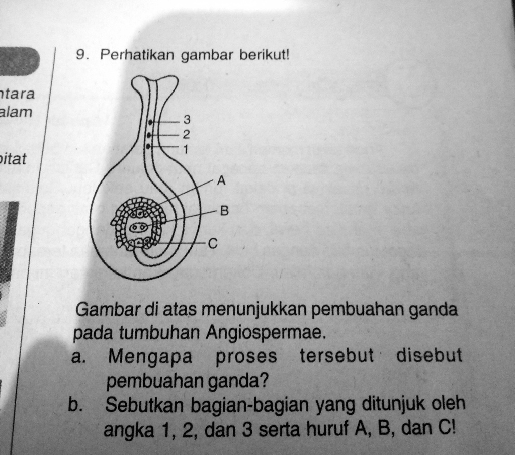 solved-mengapa-proses-tersebut-disebut-pembuahan-ganda-dan-sebutkan