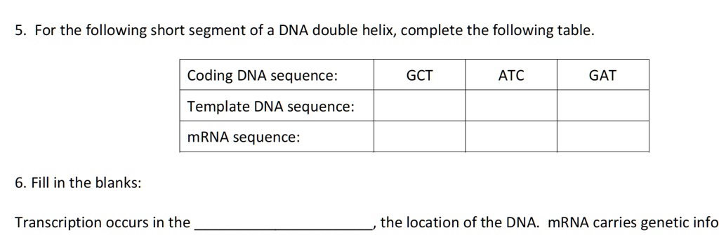 5 for the following short segment of a dna double helix complete the ...