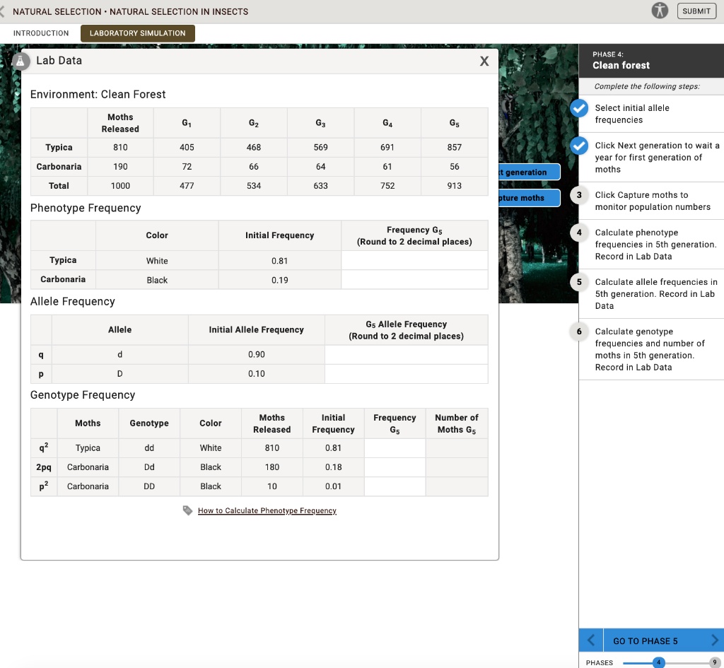 NATURAL SELECTION IN INSECTS INTRODUCTION LABORATORY SIMULATION PHASE