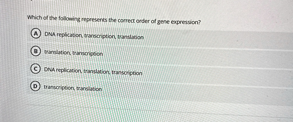 which of the following represents the correct order of gene expression a dna replication transcription translation b translation transcription c dna replication translation transcription d t 83269