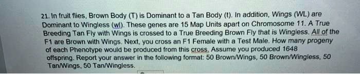 21. In fruit flies, Brown Body (T) is Dominant to a Tan Body (t). In addition, Wings (WL) are Dominant to Wingless (wl). These genes are 15 Map Units apart on Chromosome 11. A True Breeding Tan Fly with Wings is crossed to a True Breeding Brown Fly that is Wingless. All of the F1 are Brown with Wings. Next, you cross an F1 Female with a Test Male. How many progeny of each Phenotype would be produced from this cross. Assume you produced 1648 offspring. Report your answer in the following format: 50 Brown/Wings, 50 Brown/Wingless, 50 Tan/Wings, 50 Tan/Wingless.