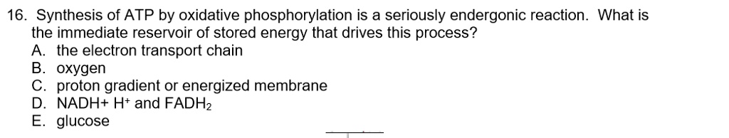 16. Synthesis of ATP by oxidative phosphorylation is a seriously endergonic reaction. What is the immediate reservoir of stored energy that drives this process?
A. the electron transport chain
B. oxygen
C. proton gradient or energized membrane
D. NADH+ H? and FADH?
E. glucose