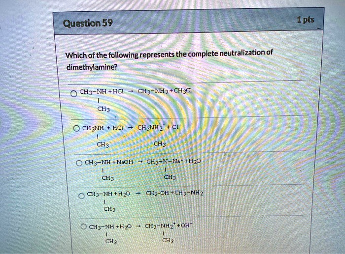 Solved Question 59 1 Pts Which Of The Following Represents The