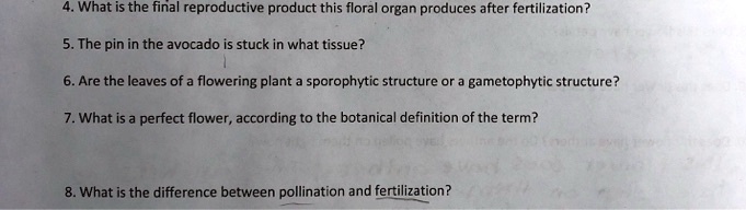 4. What is the final reproductive product this floral organ produces after fertilization?
5. The pin in the avocado is stuck in what tissue?
6. Are the leaves of a flowering plant a sporophytic structure or a gametophytic structure?
7. What is a perfect flower, according to the botanical definition of the term?
8. What is the difference between pollination and fertilization?