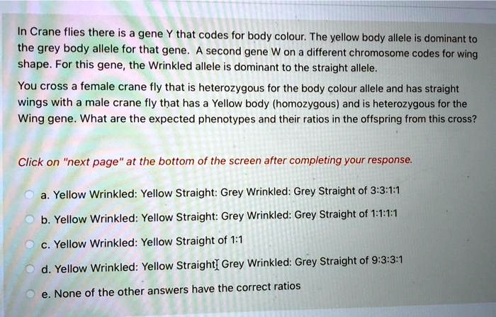 Gen Codes in crane flies there is a gene y that codes for body colour the yellow ...