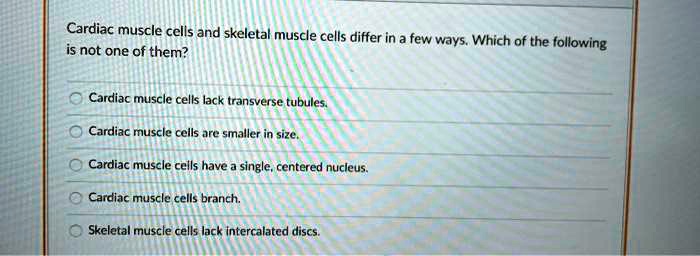 Cardiac muscle cells and skeletal muscle cells differ in a few ways. Which of the following is not one of them?

Cardiac muscle cells lack transverse tubules.
Cardiac muscle cells are smaller in size.
Cardiac muscle cells have a single, centered nucleus.
Cardiac muscle cells branch.
Skeletal muscle cells lack intercalated discs.
