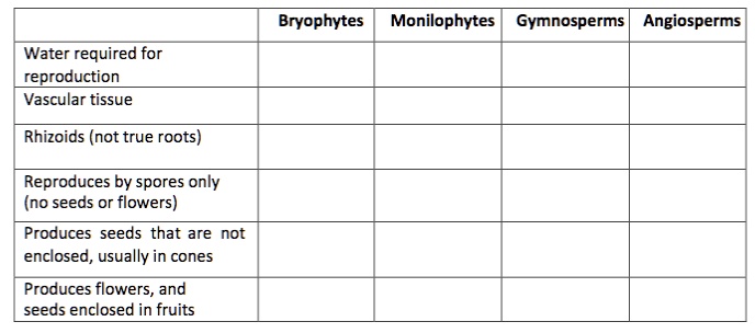 Bryophytes Monilophytes Gymnosperms Angiosperms
Water required for reproduction
Vascular tissue
Rhizoids (not true roots)
Reproduces by spores only (no seeds or flowers)
Produces seeds that are not enclosed, usually in cones
Produces flowers, and seeds enclosed in fruits