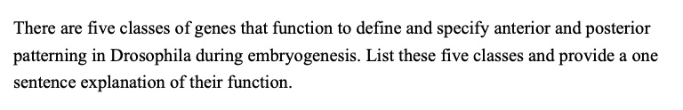 There are five classes of genes that function to define and specify anterior and posterior patterning in Drosophila during embryogenesis. List these five classes and provide a one sentence explanation of their function.