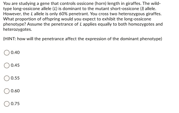 You are studying a gene that controls ossicone (horn) length in giraffes. The wild-type long-ossicone allele (L) is dominant to the mutant short-ossicone (l) allele. However, the L allele is only 60% penetrant. You cross two heterozygous giraffes. What proportion of offspring would you expect to exhibit the long-ossicone phenotype? Assume the penetrance of L applies equally to both homozygotes and heterozygotes.

(HINT: how will the penetrance affect the expression of the dominant phenotype)

0.40
0.45
0.55
0.60
0.75