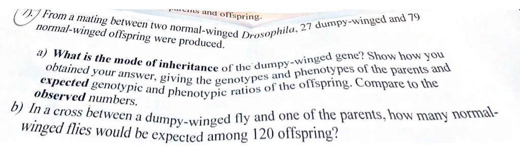 From a mating between two normal-winged Drosophila, 27 dumpy-winged and 79 normal-winged offspring were produced.
a) What is the mode of inheritance of the dumpy-winged gene? Show how you obtained your answer, giving the genotypes and phenotypes of the parents and expected genotypic and phenotypic ratios of the offspring. Compare to the observed numbers.
b) In a cross between a dumpy-winged fly and one of the parents, how many normal-winged flies would be expected among 120 offspring?