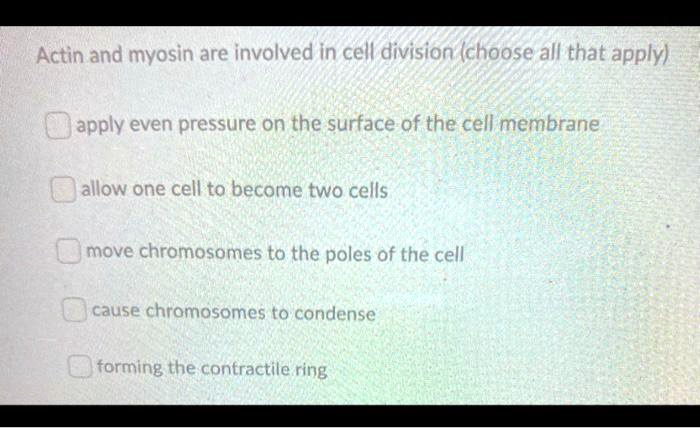 Actin and myosin are involved in cell division (choose all that apply)
apply even pressure on the surface of the cell membrane
allow one cell to become two cells
move chromosomes to the poles of the cell
cause chromosomes to condense
forming the contractile ring