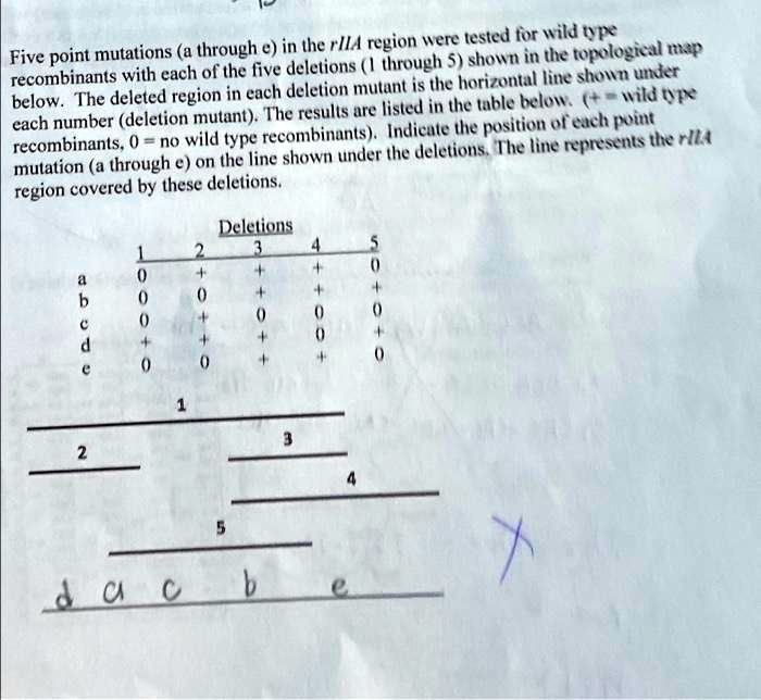 Five point mutations (a through e) in the rIIA region were tested for ...