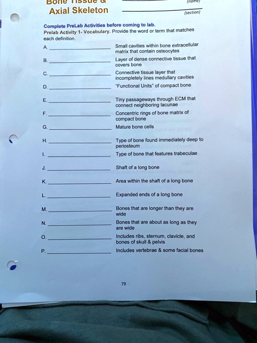 SOLVED Bone Axial Skeleton Section Completing PreLab Activities before coming to Vocabulary