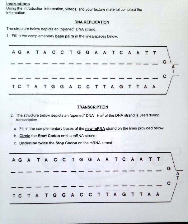 Solved Instructions Using The Introduction Information Videos And