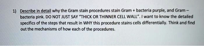 1) Describe in detail why the Gram stain procedures stain Gram + bacteria purple, and Gram – bacteria pink. DO NOT JUST SAY ‘THICK OR THINNER CELL WALL’. I want to know the detailed specifics of the steps that result in WHY this procedure stains cells differentially. Think and find out the mechanisms of how each of the procedures.