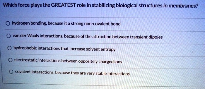 Which force plays the GREATEST role in stabilizing biological structures in membranes?
hydrogen bonding, because it a strong non-covalent bond
van der Waals interactions, because of the attraction between transient dipoles
hydrophobic interactions that increase solvent entropy
electrostatic interactions between oppositely charged ions
covalent interactions, because they are very stable interactions