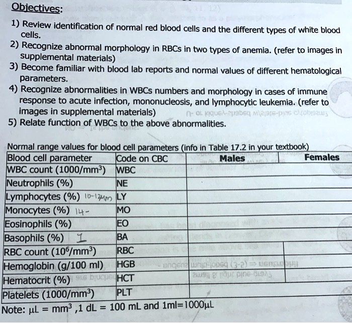 normal wbc slightly low hematocrit and hemoglobin