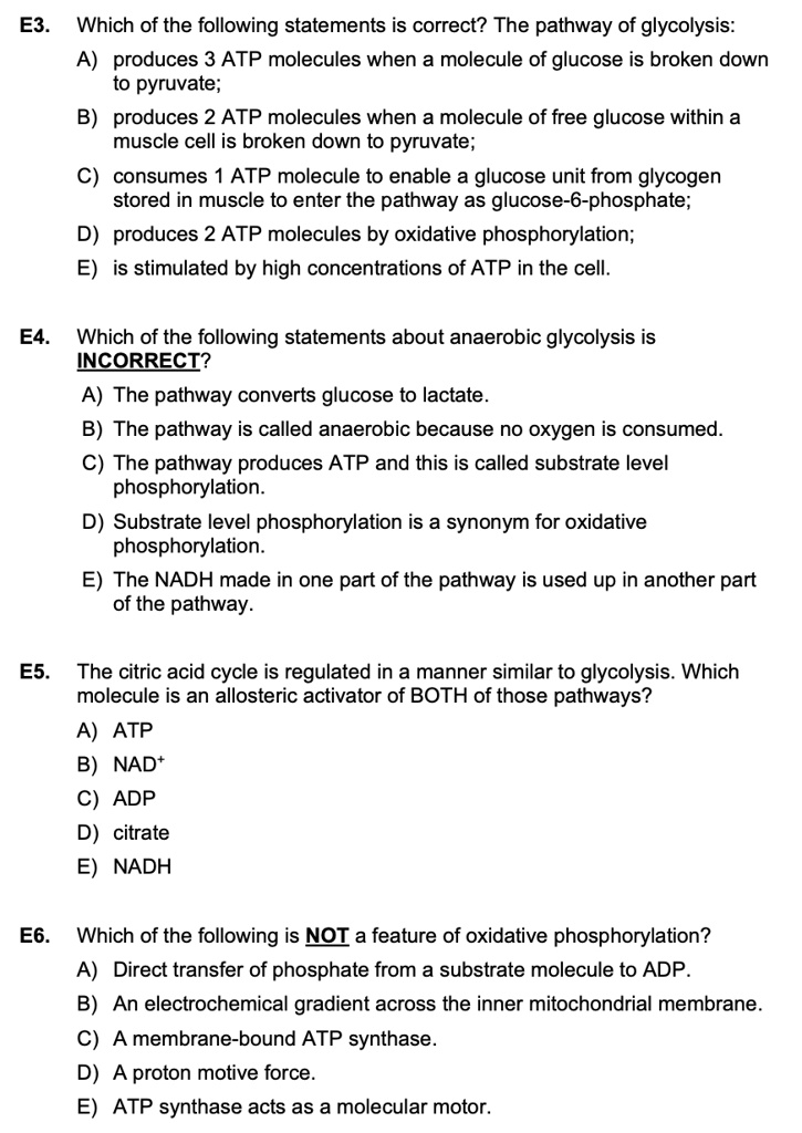 SOLVED: E3 Which of the following statements is correct? The pathway of ...