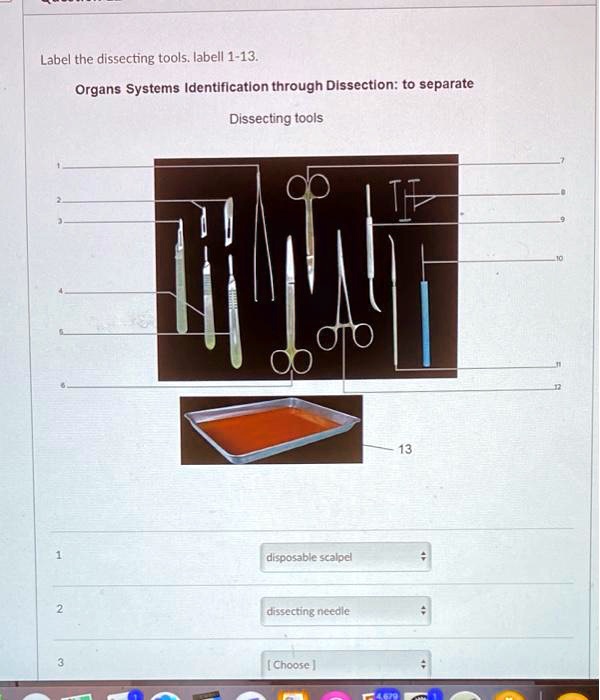 SOLVED Label the dissecting tools. Iabell 113. Organs Systems