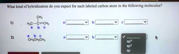 Solved What Kind Of Hybridization Do You Expect For Each Labeled Carbon Atom In The Following 4590