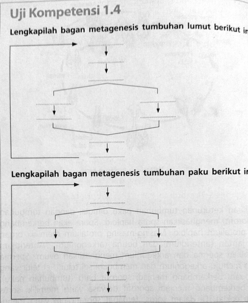 Solved Lengkapilah Bagan Metagenesis Tumbuhan Lumut Dan Paku Berikut