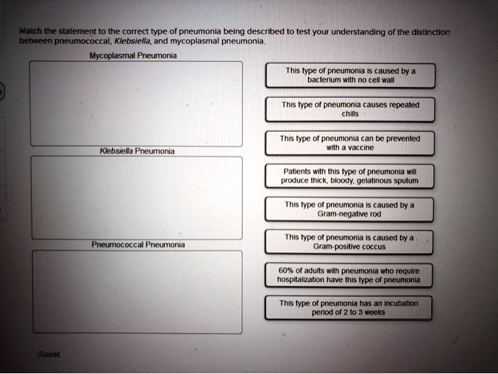Match the statement to the correct type of pneumonia being described to test your understanding of the distinction between pneumococcal, Klebsiella, and mycoplasmal pneumonia.

Mycoplasmal Pneumonia

Klebsiella Pneumonia

Pneumococcal Pneumonia

This type of pneumonia is caused by a bacterium with no cell wall
This type of pneumonia causes repeated chills
This type of pneumonia can be prevented with a vaccine
Patients with this type of pneumonia will produce thick, bloody, gelatinous sputum
This type of pneumonia is caused by a Gram-negative rod
This type of pneumonia is caused by a Gram-positive coccus
60% of adults with pneumonia who require hospitalization have this type of pneumonia
This type of pneumonia has an incubation period of 2 to 3 weeks.