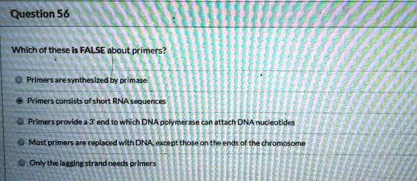 Which of these is FALSE about primers? Primers are synthesized by primase Primers consists of short RNA sequences Primers provide a 3' end to which DNA polymerase can attach DNA nucleotides Most primers are replaced with DNA, except those on the ends of the chromosome Only the lagging strand needs primers