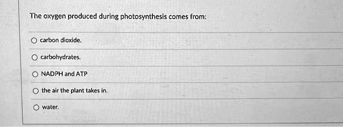 The oxygen produced during photosynthesis comes from:
carbon dioxide.
carbohydrates.
NADPH and ATP
the air the plant takes in.
water.