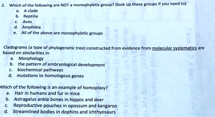2. Which of the following are NOT a monophyletic group? (look up these groups if you need to)
a. A clade
b. Reptilia
c. Aves
d. Amphibia
e. All of the above are monophyletic groups
Cladograms (a type of phylogenetic tree) constructed from evidence from molecular systematics are
based on similarities in
a. Morphology
b. the pattern of embryological development
c. biochemical pathways
d. mutations to homologous genes
Which of the following is an example of homoplasy?
a. Hair in humans and fur in mice
b. Astragalus ankle bones in hippos and deer
c. Reproductive pouches in opossum and kangaroo
d. Streamlined bodies in dophins and ichthyosaurs