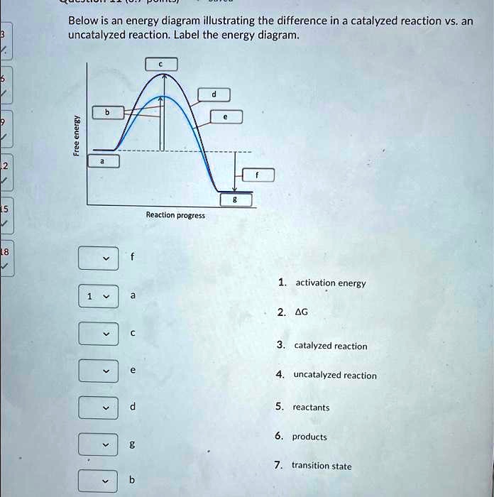 Reaction Energy Diagram For A Catalyzed And An Uncatalyzed P