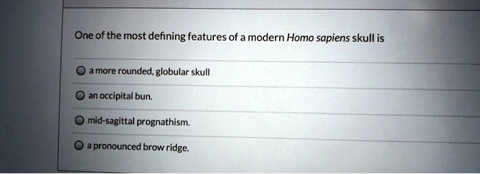 One of the most defining features of a modern Homo sapiens skull is
a more rounded, globular skull
an occipital bun.
mid-sagittal prognathism.
a pronounced brow ridge.
