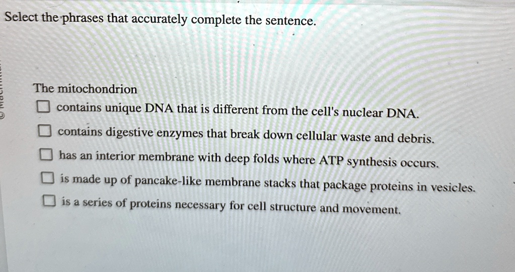 Sentence For Dna Select the phrases that accurately complete the sentence the...