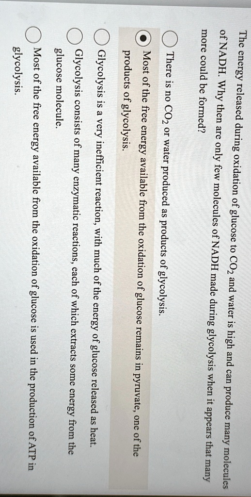 What Is The Purpose Of The Nadh Made During Glycolysis