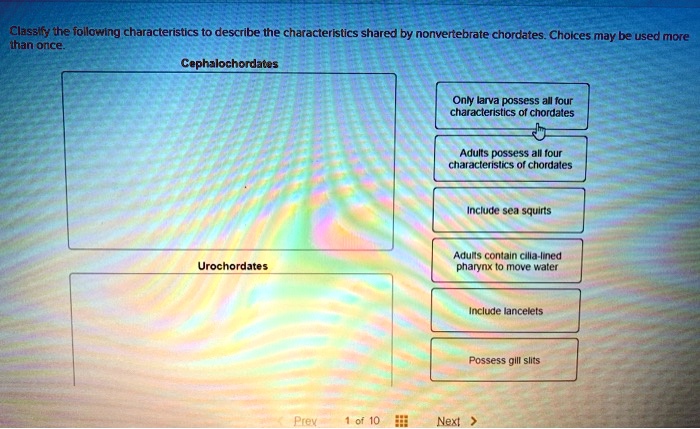 SOLVED: Clas3lfy te following characteristics to describe the