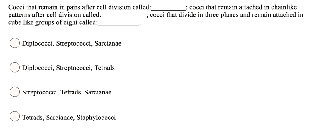 Cocci that remain in pairs after cell division called:; cocci that remain attached in chainlike patterns after cell division called:; cocci that divide in three planes and remain attached in cube like groups of eight called:.

Diplococci, Streptococci, Sarcianae

Diplococci, Streptococci, Tetrads

Streptococci, Tetrads, Sarcianae

Tetrads, Sarcianae, Staphylococci
