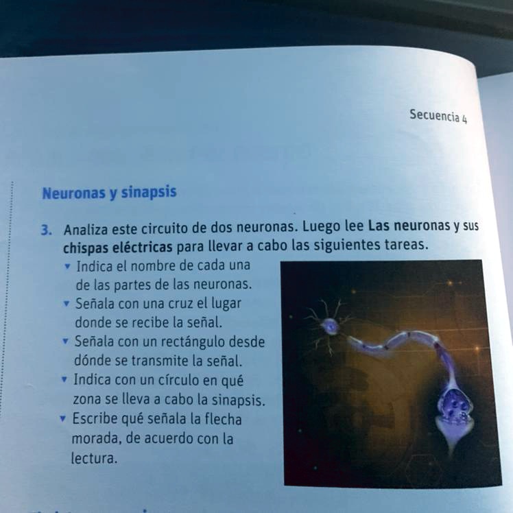 Solved Ayudaaaa Biología Me Mata Secuencia Neuronas Y Sinapsis 3 Solved Ayudaaaa Biología Me Mata Secuencia Neuronas Y Sinapsis 3