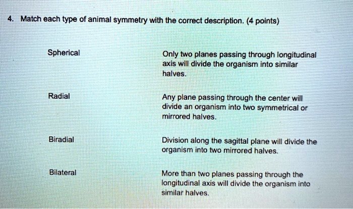 4. Match each type of animal symmetry with the correct description. (4 points)

Spherical
Only two planes passing through longitudinal axis will divide the organism into similar halves.

Radial
Any plane passing through the center will divide an organism into two symmetrical or mirrored halves.

Biradial
Division along the sagittal plane will divide the organism into two mirrored halves.

Bilateral
More than two planes passing through the longitudinal axis will divide the organism into similar halves.