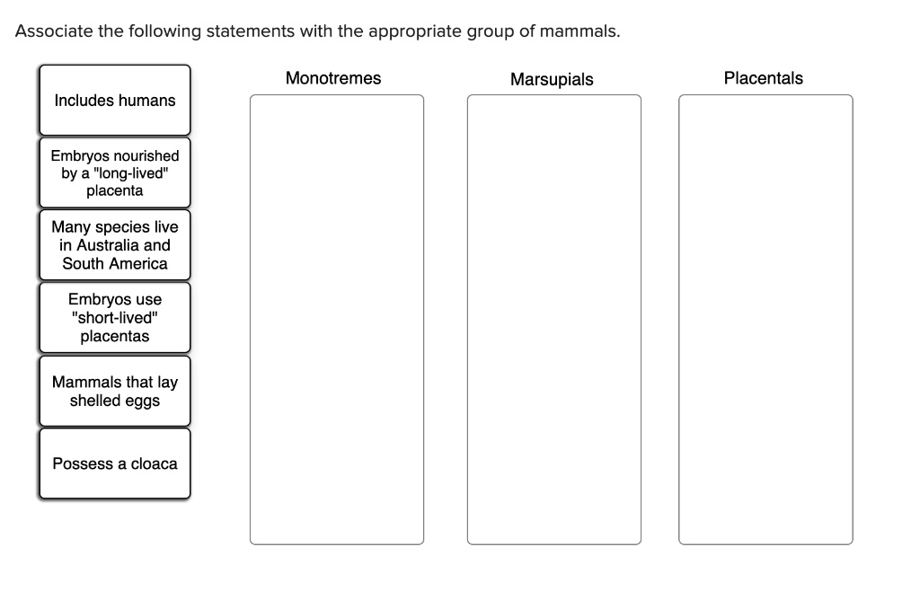 SOLVED: Associate the following statements with the appropriate group