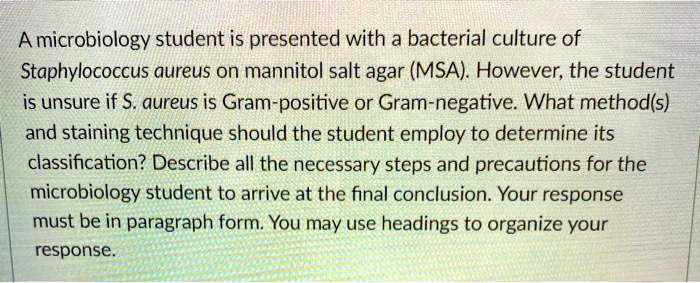 A microbiology student is presented with a bacterial culture of Staphylococcus aureus on mannitol salt agar (MSA). However, the student is unsure if S. aureus is Gram-positive or Gram-negative. What method(s) and staining technique should the student employ to determine its classification? Describe all the necessary steps and precautions for the microbiology student to arrive at the final conclusion. Your response must be in paragraph form. You may use headings to organize your response.