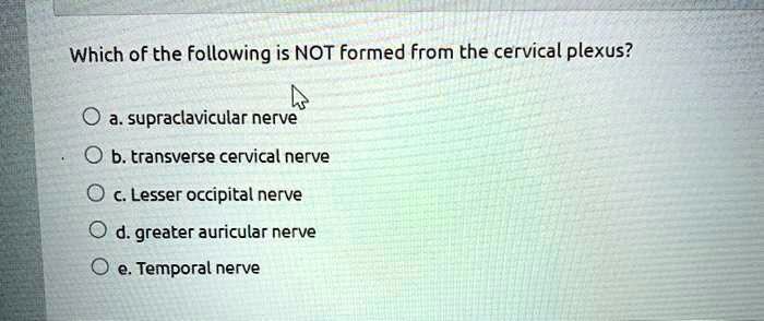 SOLVED: Which of the following is NOT formed from the cervical plexus ...