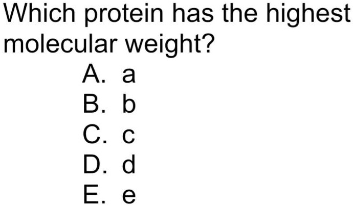 SOLVED: Which Protein Has The Highest Molecular Weight? A A B. B C. D B; E